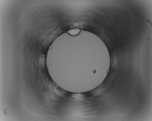 X0000103470231200810241022