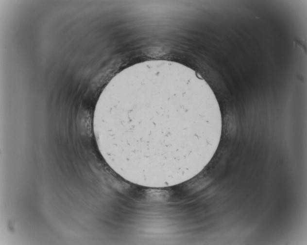 X0000103470234200810241021