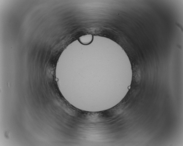 X0000103470235200810241021