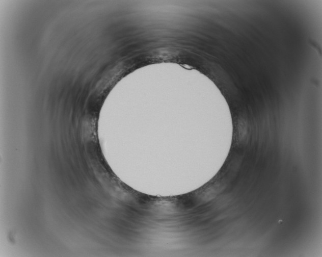 X0000103470236200810241021