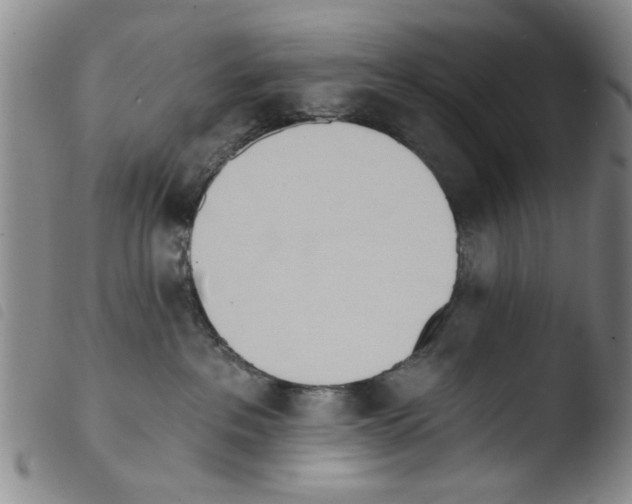 X0000103470237200810241021