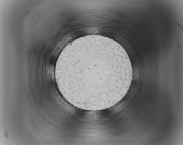 X0000103470238200810241021