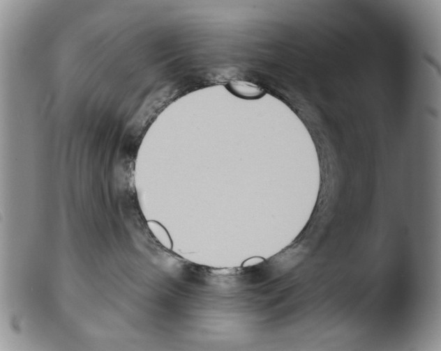X0000103470240200810241021