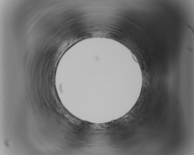 X0000103470241200810241021