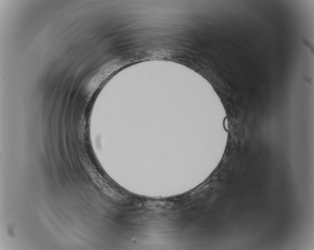 X0000103470242200810241021
