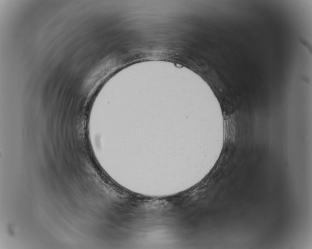 X0000103470243200810241021