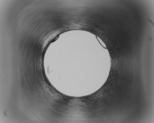 X0000103470244200810241021
