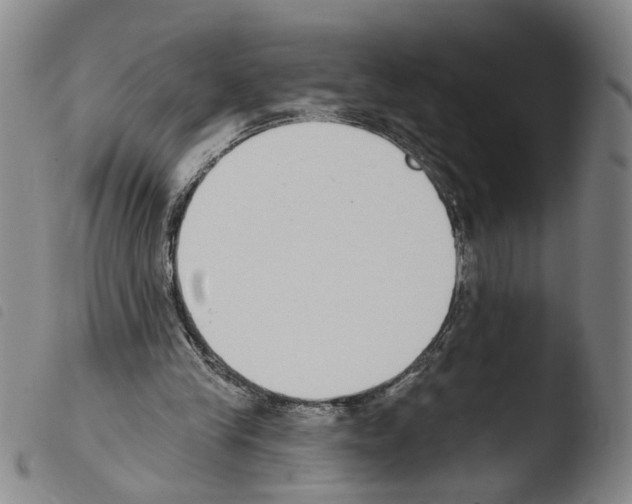 X0000103470245200810241021