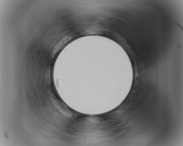 X0000103470250200810241021