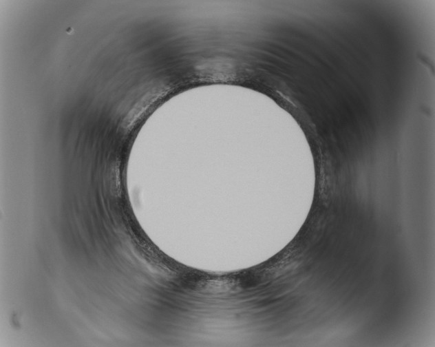 X0000103470251200810241021