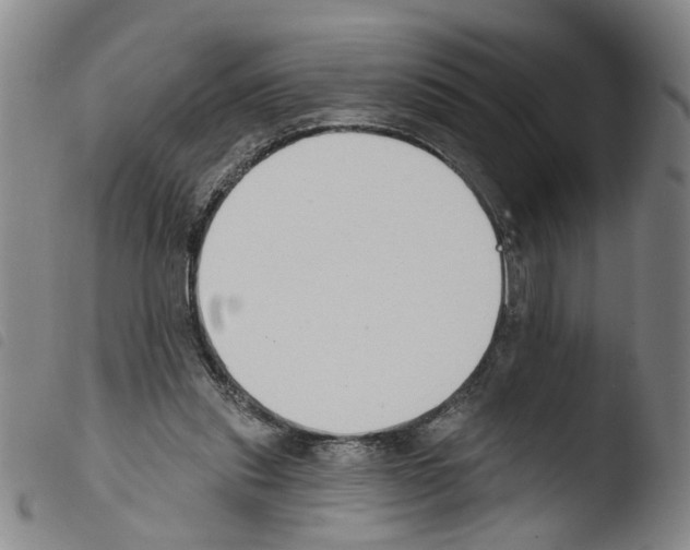 X0000103470253200810241021
