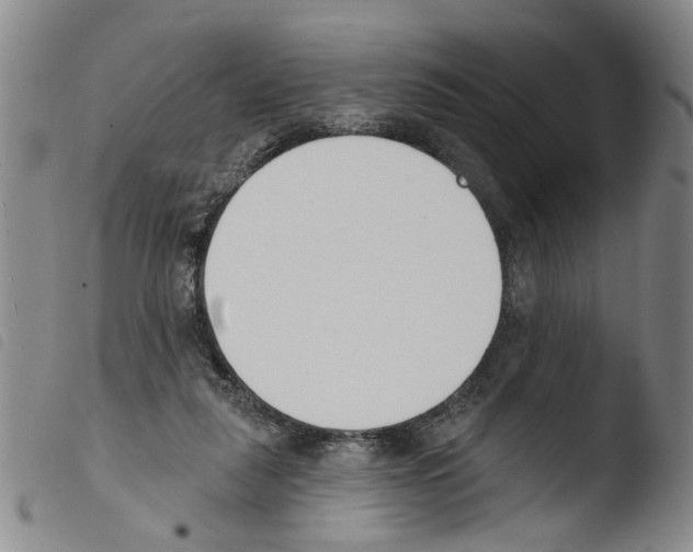 X0000103470259200810241021