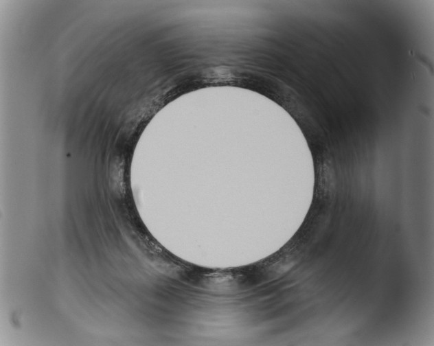 X0000103470267200810241021