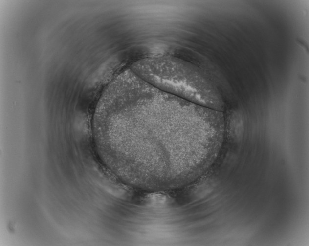 X0000103470272200810241021