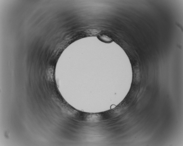 X0000103470274200810241021