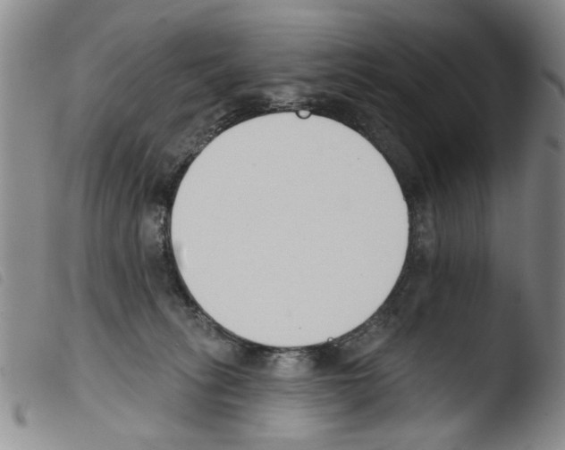 X0000103470275200810241021