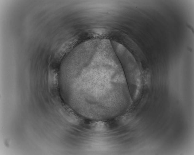 X0000103470276200810241021