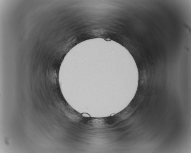 X0000103470279200810241021