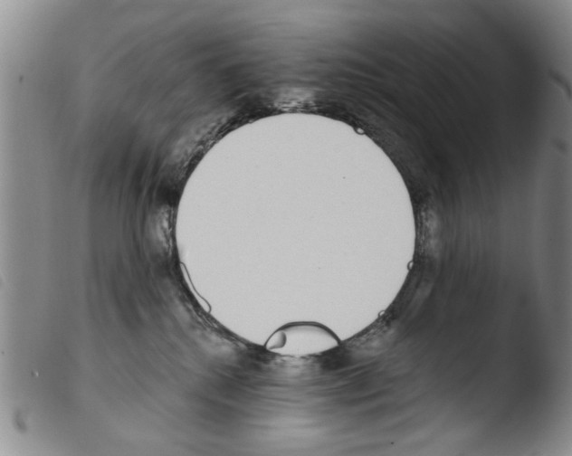 X0000103470280200810241021