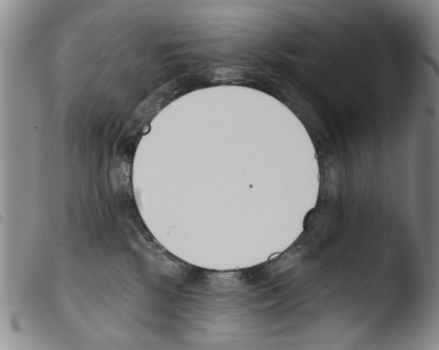 X0000103470281200810241021