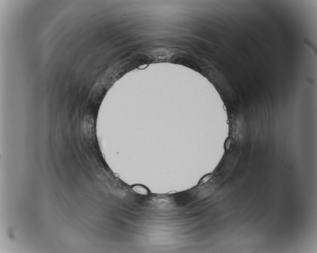 X0000103470283200810241021