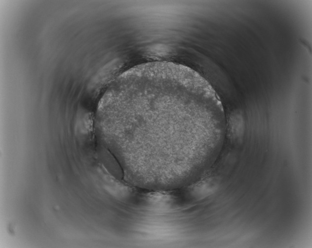 X0000103470284200810241021