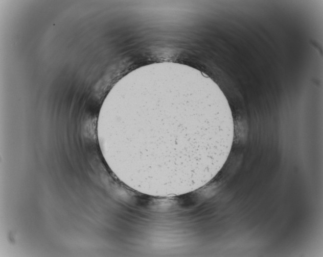 X0000103470286200810241021