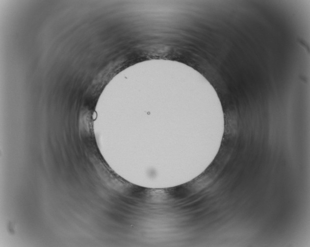 X0000103470287200810241021