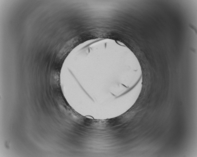 X0000103470288200810241021