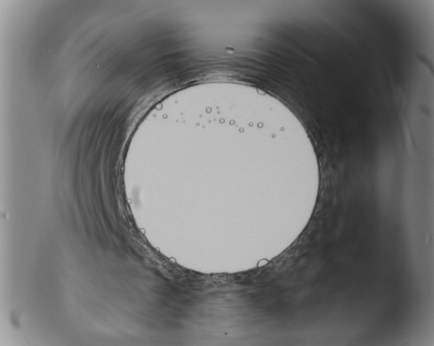 X0000103470289200810241021