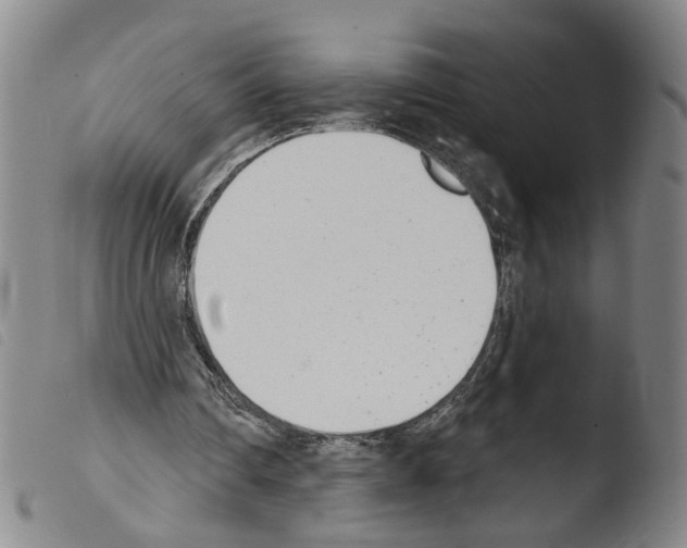 X0000103470290200810241020