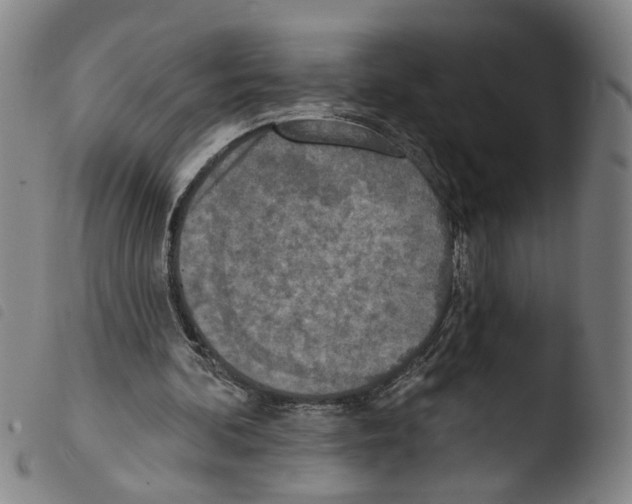 X0000103470292200810241020