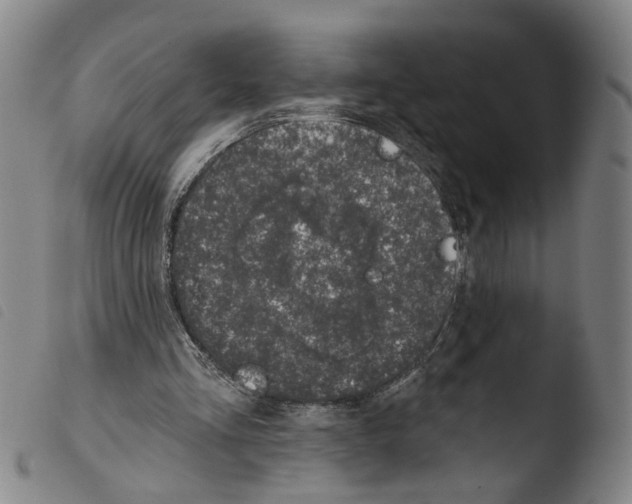 X0000103470293200810241020