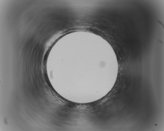 X0000103470294200810241020