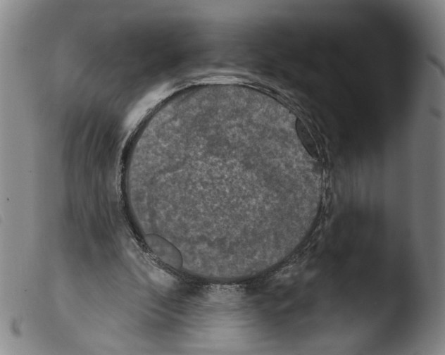 X0000103470296200810241020