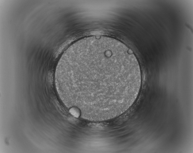 X0000103470297200810241020