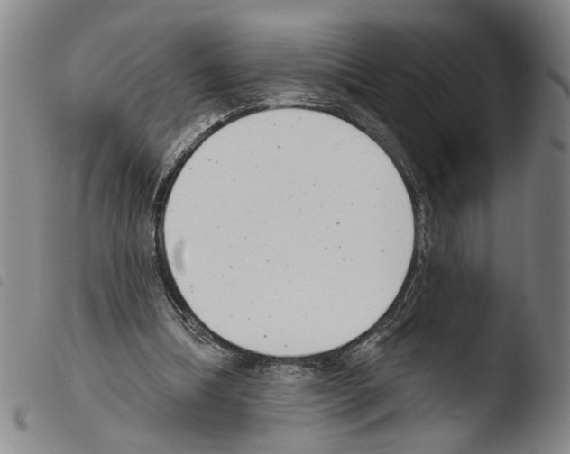 X0000103470298200810241020