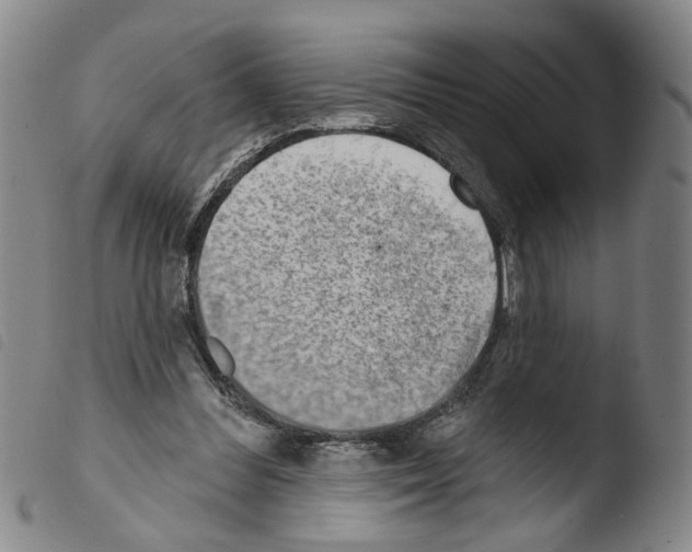 X0000103470300200810241020