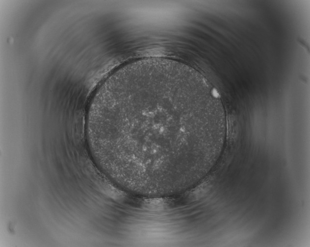 X0000103470301200810241020