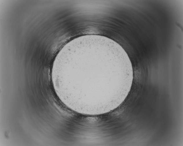 X0000103470302200810241020
