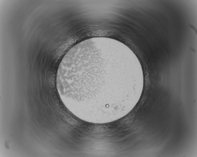 X0000103470305200810241020