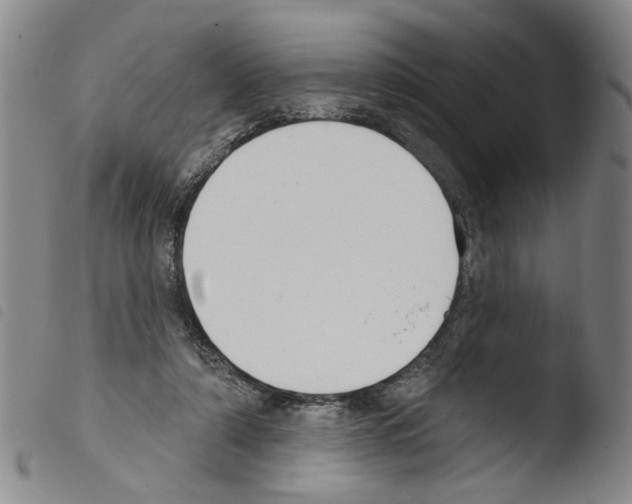 X0000103470306200810241020