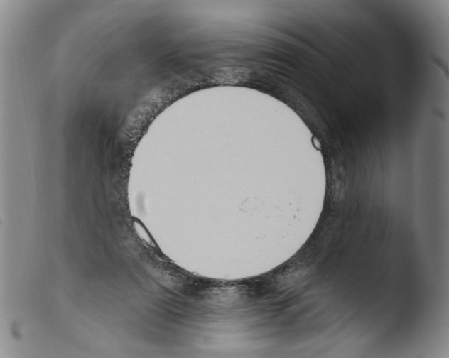 X0000103470307200810241020