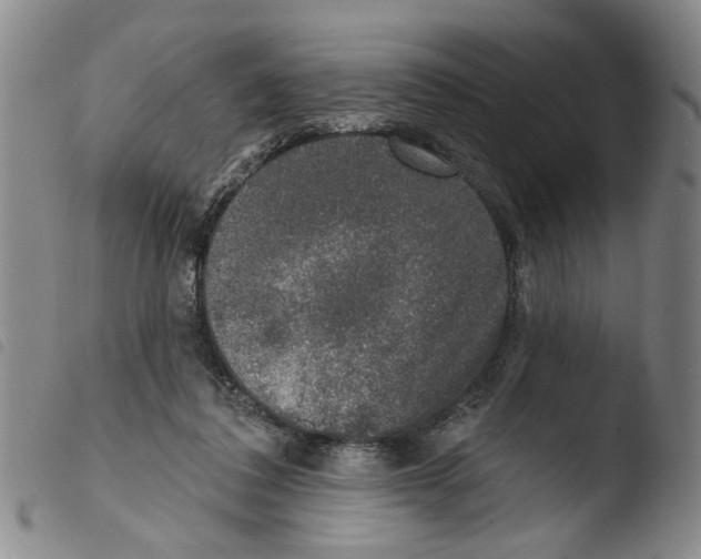 X0000103470308200810241020