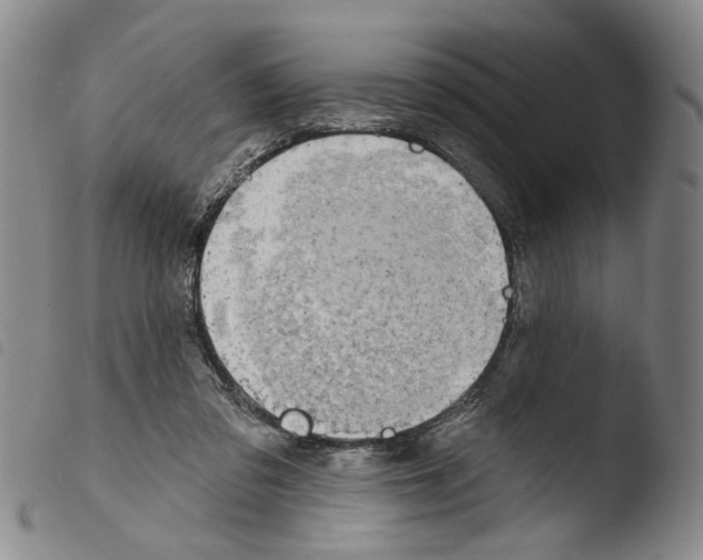 X0000103470309200810241020