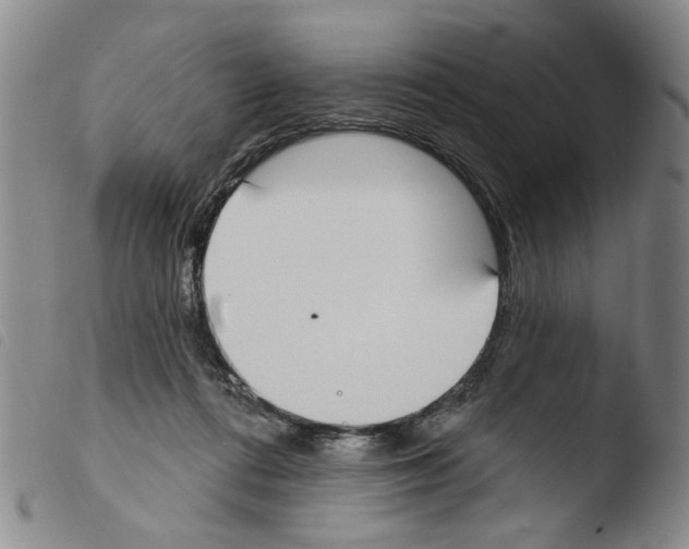 X0000103470312200810241020