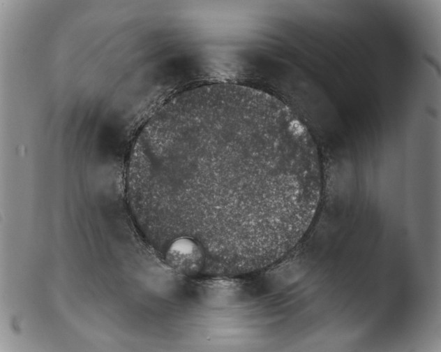 X0000103470313200810241020