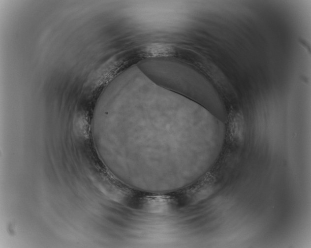 X0000103470316200810241020