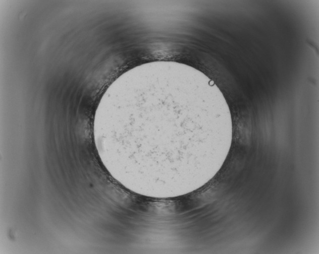 X0000103470317200810241020