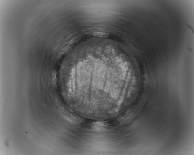 X0000103470320200810241020